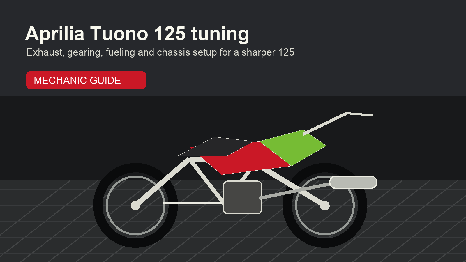 Aprilia Tuono 125 tuning