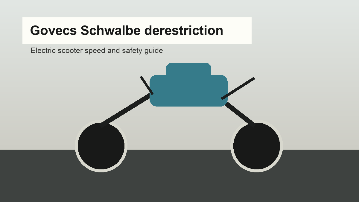 Govecs Schwalbe derestriction