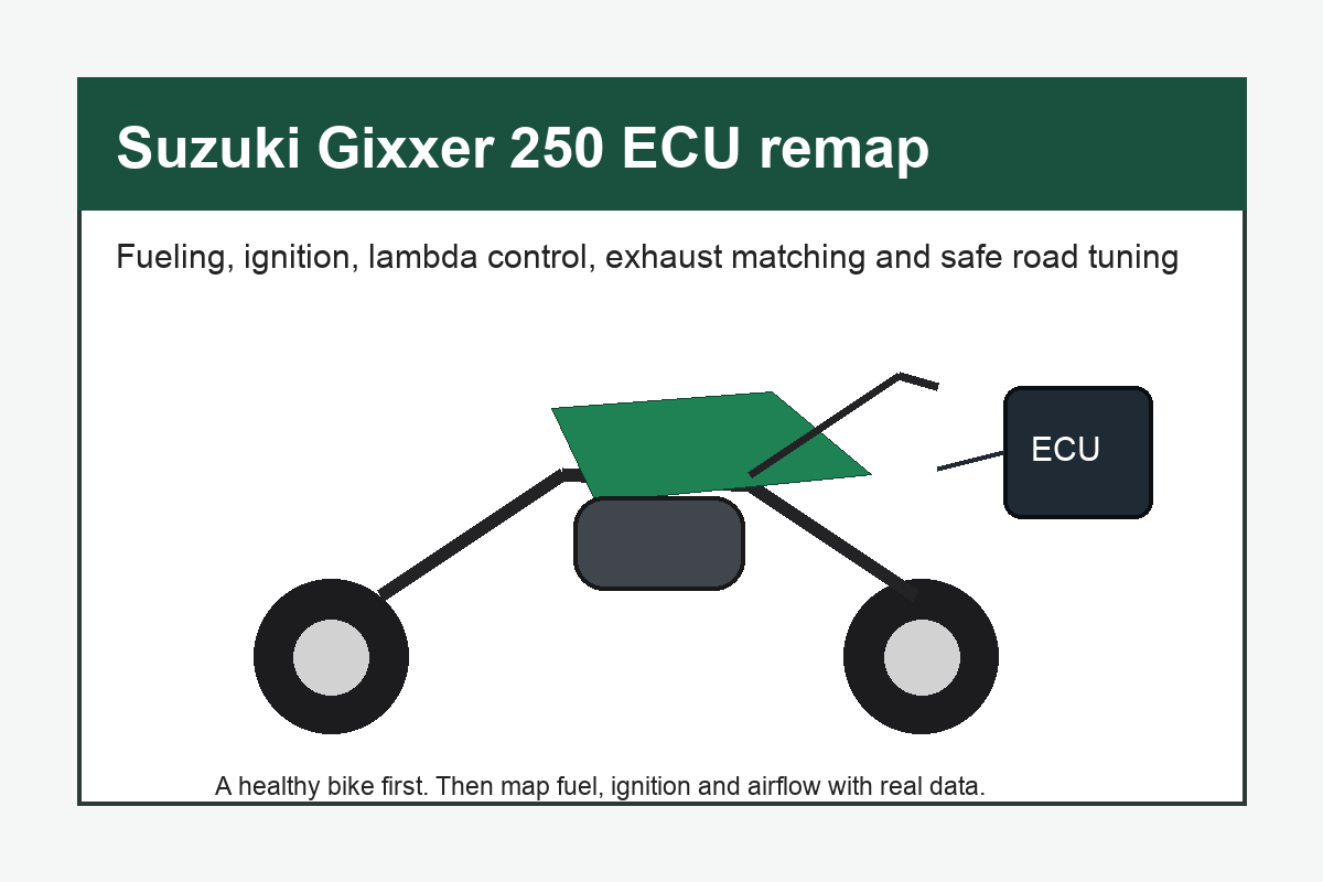 Suzuki Gixxer 250 ECU remap Suzuki Gixxer 250 ECU remap