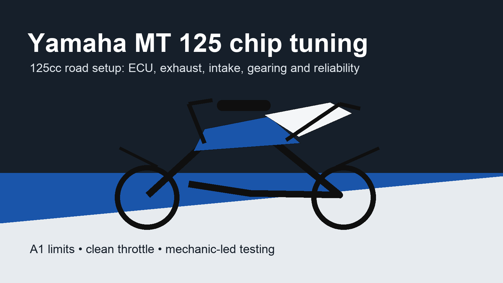 Yamaha MT 125 chip tuning Yamaha MT 125 chip tuning